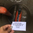 台北韓國學校新建案